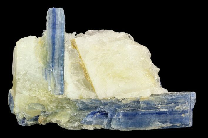 Vibrant Blue Kyanite Crystals In Quartz - Brazil #127369